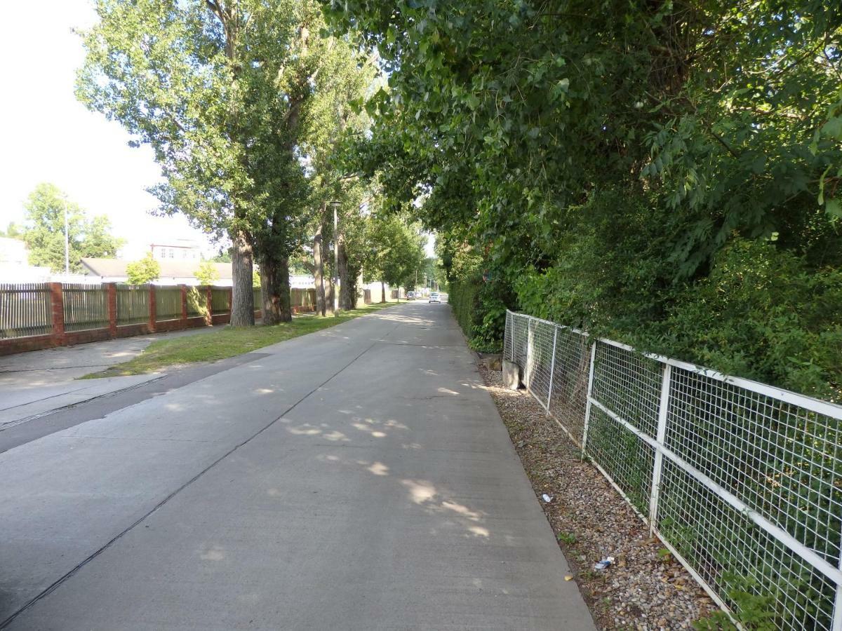 Zur Saale Hotel Weissenfels Bagian luar foto