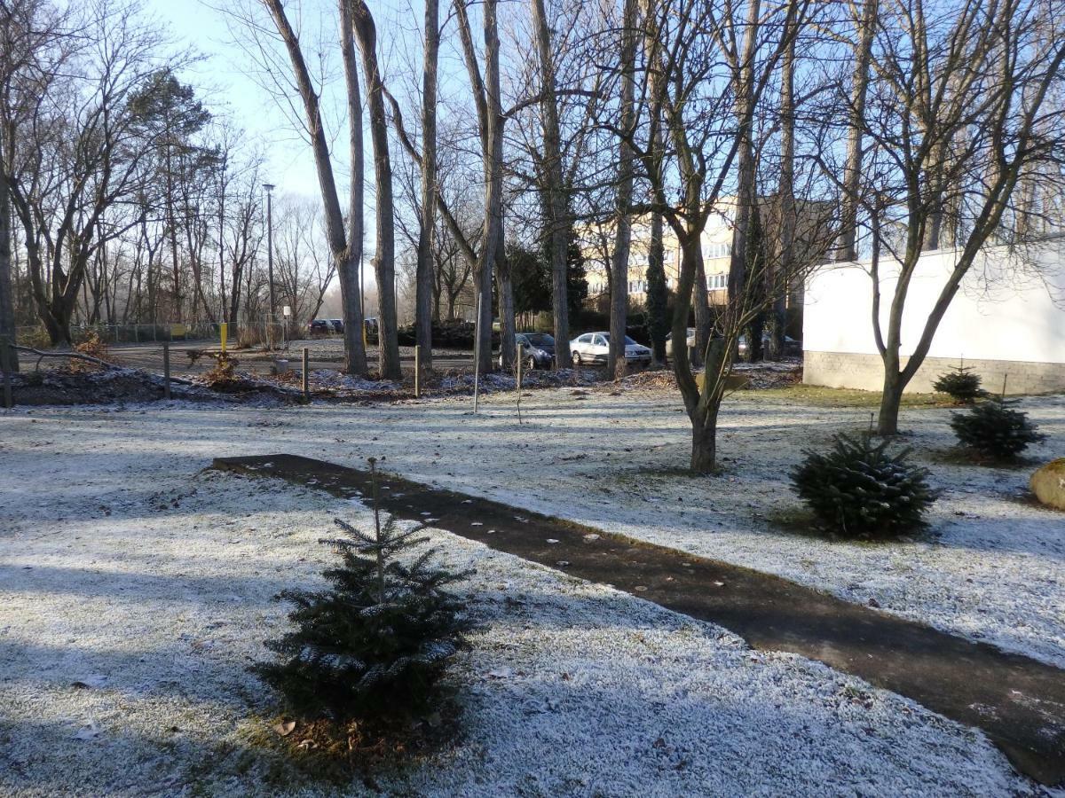 Zur Saale Hotel Weissenfels Bagian luar foto